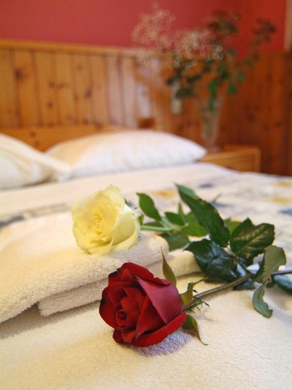 Hotel Athina Delphi Kamer foto